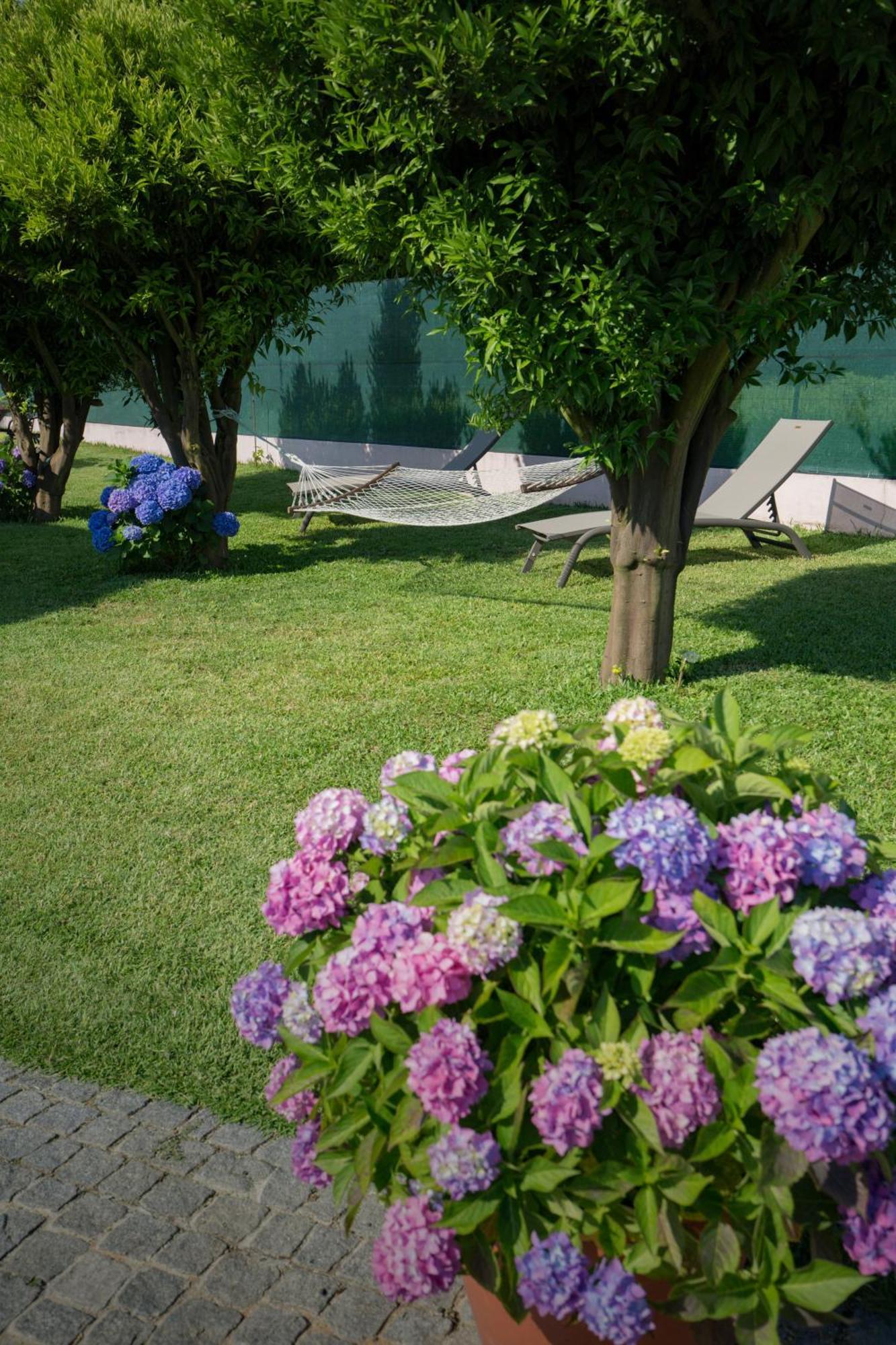 Suite Em Viana Do Castelo Luaran gambar
